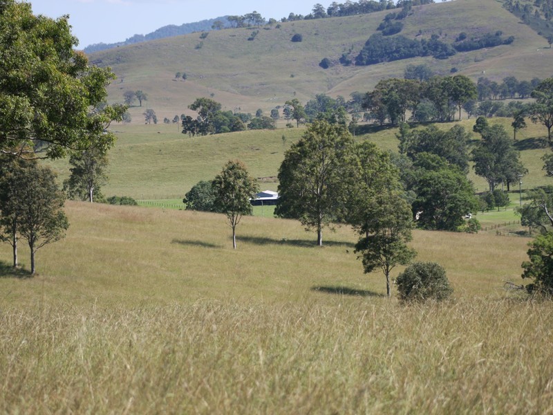 194 Clements Road, East Gresford NSW 2311