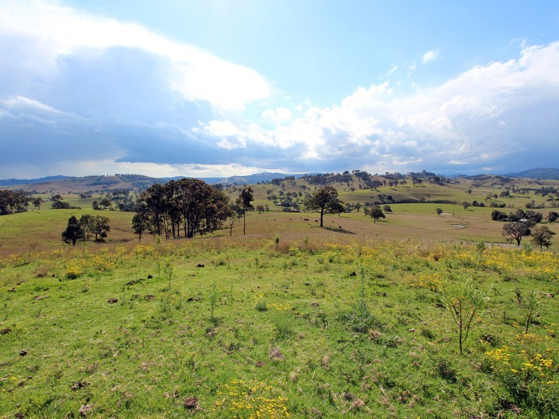 194 Clements Road, East Gresford NSW 2311