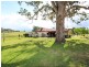 194 Clements Road, East Gresford NSW 2311