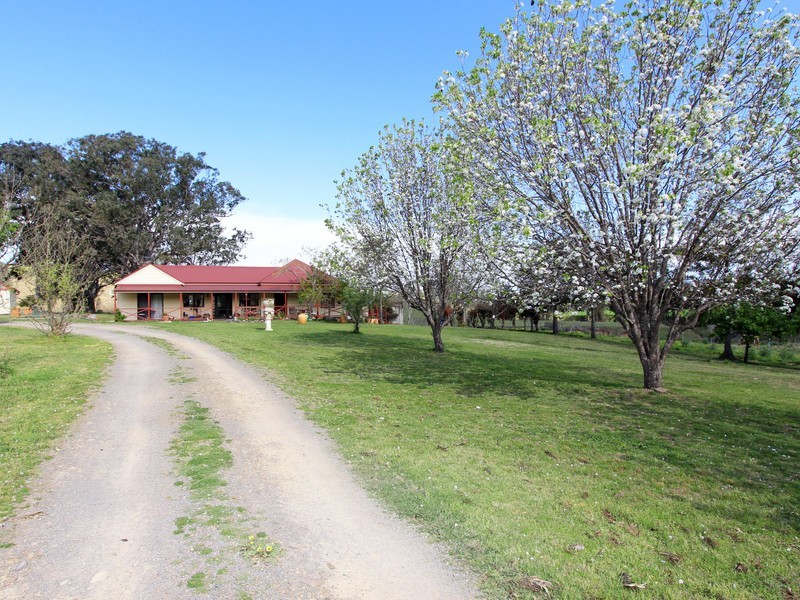 194 Clements Road, East Gresford NSW 2311