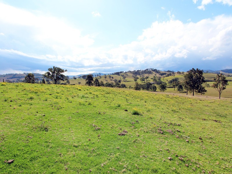 194 Clements Road, East Gresford NSW 2311