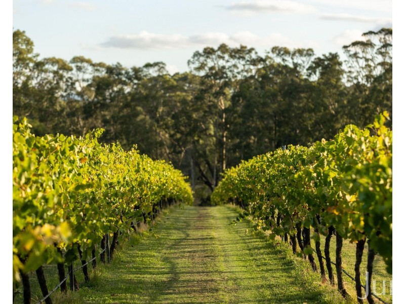 28 Racecourse Lane, Pokolbin NSW 2320