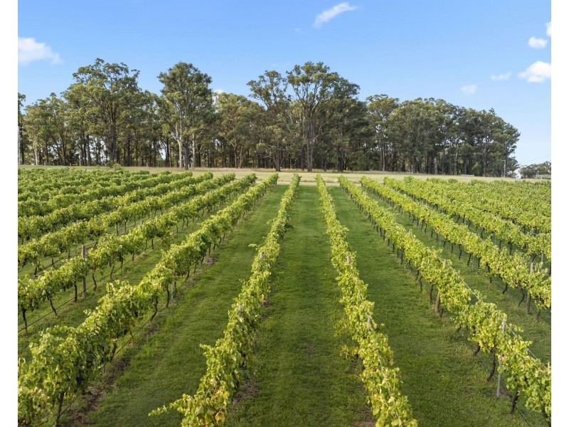 28 Racecourse Lane, Pokolbin NSW 2320