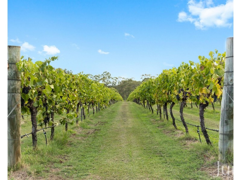 28 Racecourse Lane, Pokolbin NSW 2320