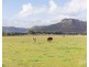 88 Hill Street, Broke NSW 2330
