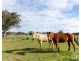 88 Hill Street, Broke NSW 2330
