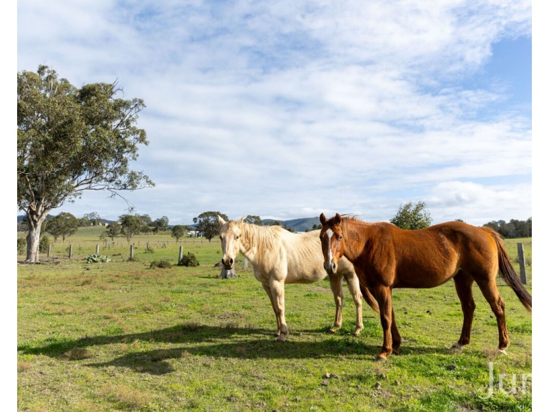 88 Hill Street, Broke NSW 2330