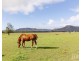88 Hill Street, Broke NSW 2330