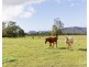 88 Hill Street, Broke NSW 2330
