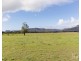 88 Hill Street, Broke NSW 2330