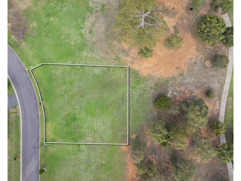 39 Paperbark Drive, Pokolbin NSW 2320