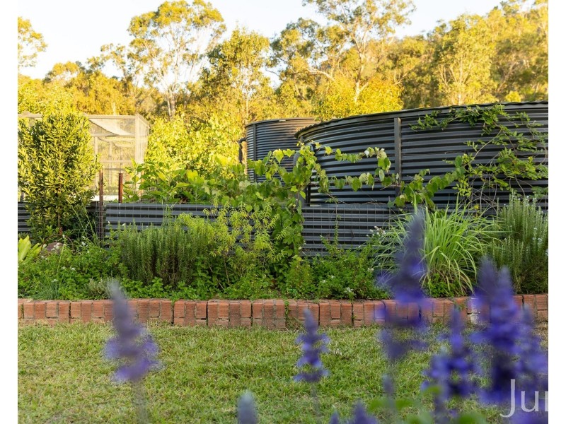 1066 Wollombi Road, Broke NSW 2330