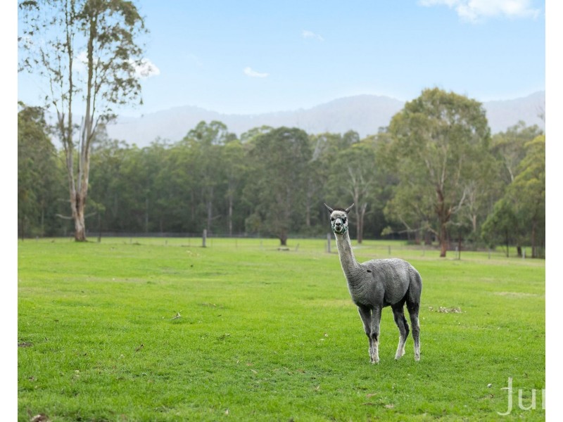 40 Dry Creek Road, Ellalong NSW 2325