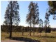 42/ Mistletoe Lane, Pokolbin NSW 2320