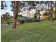 Brunkerville NSW 2323