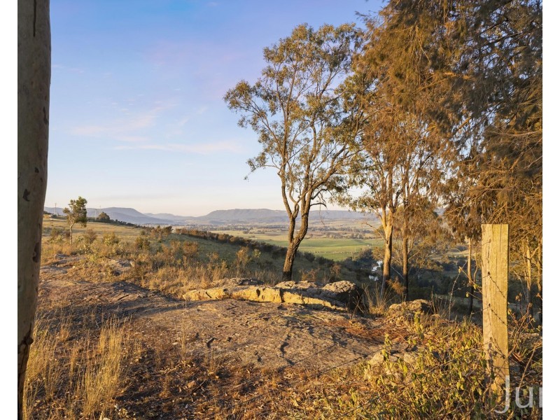 31 Harrow Circuit, Greta NSW 2334