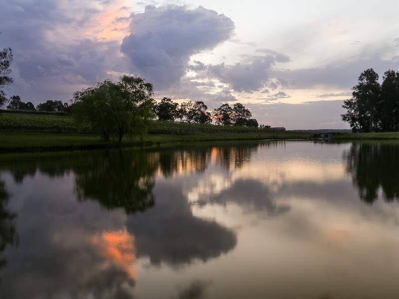 78 Old North Road, Pokolbin NSW 2320