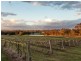 78 Old North Road, Pokolbin NSW 2320