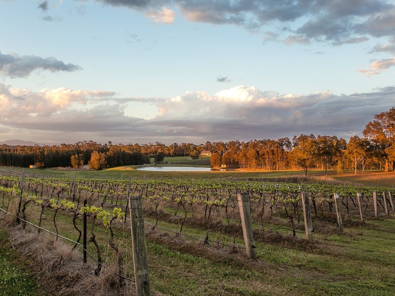 78 Old North Road, Pokolbin NSW 2320