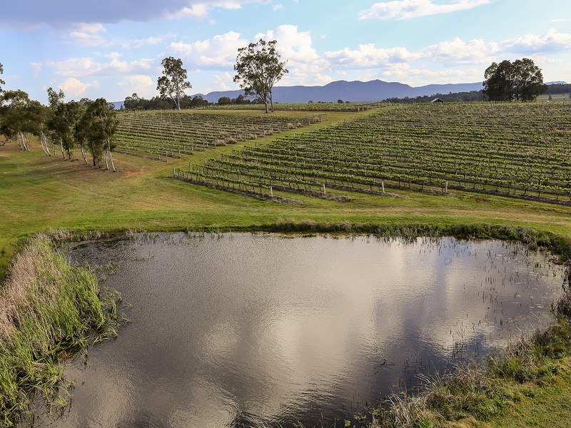 78 Old North Road, Pokolbin NSW 2320