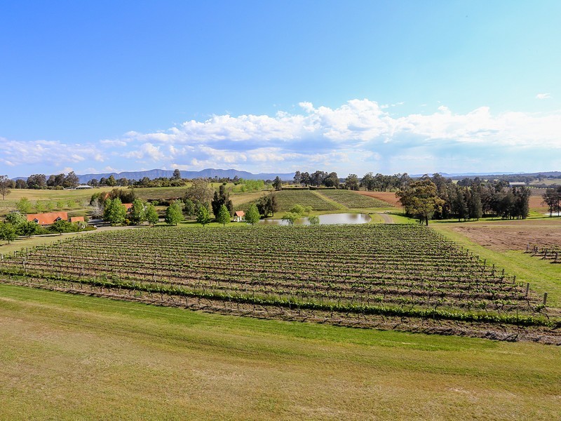 110 Old North Road, Pokolbin NSW 2320