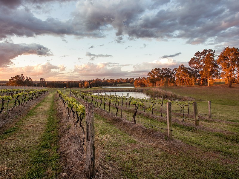 110 Old North Road, Pokolbin NSW 2320