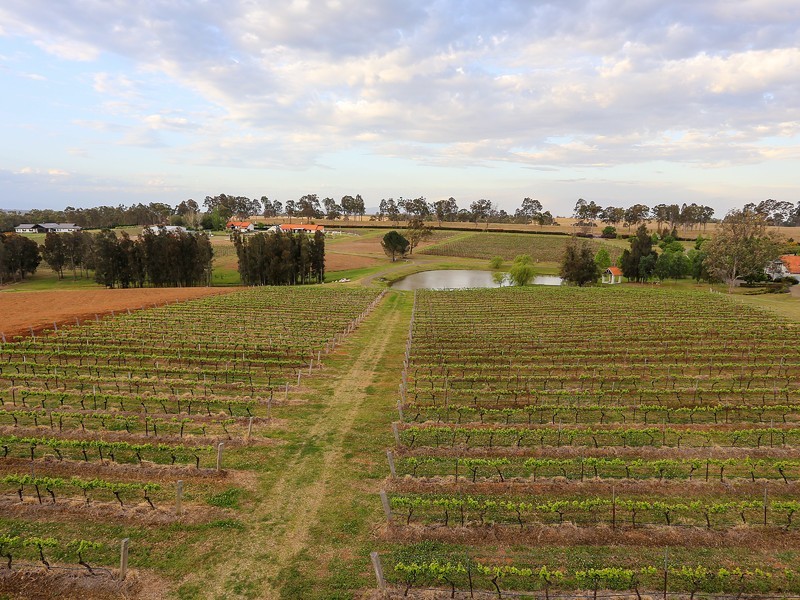 110 Old North Road, Pokolbin NSW 2320