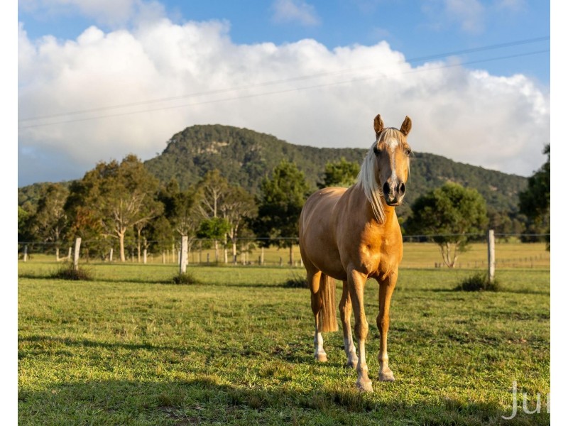 256 Mill Lane, Quorrobolong NSW 2325