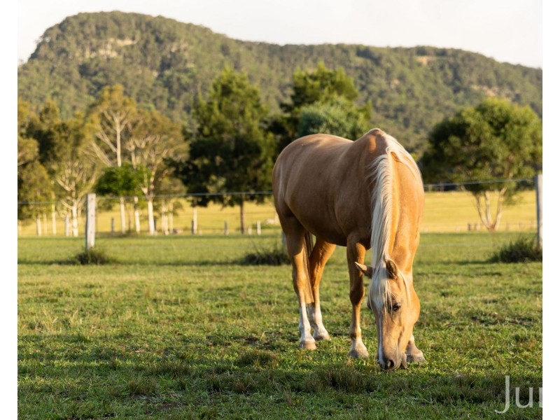 256 Mill Lane, Quorrobolong NSW 2325