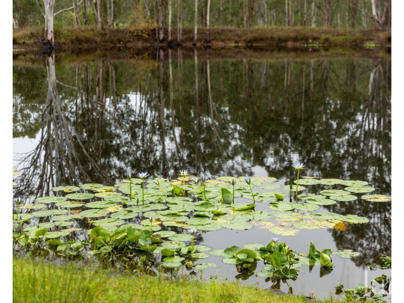 76 Rusty Lane North Arm, Branxton NSW 2335