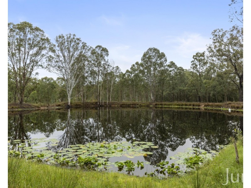 76 Rusty Lane North Arm, Branxton NSW 2335