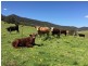 Marshalls Road, Singleton NSW 2330