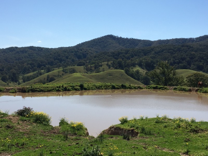 Marshalls Road, Singleton NSW 2330