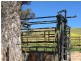 Marshalls Road, Singleton NSW 2330