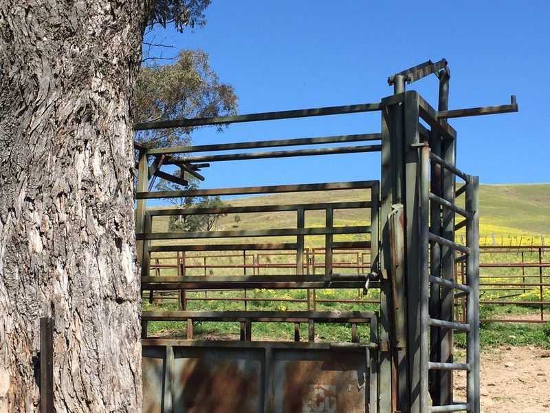 Marshalls Road, Singleton NSW 2330