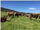 Marshalls Road, Singleton NSW 2330