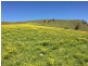 Marshalls Road, Singleton NSW 2330