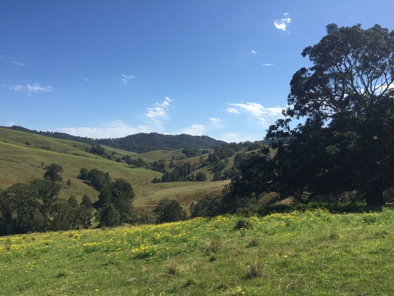 Marshalls Road, Singleton NSW 2330