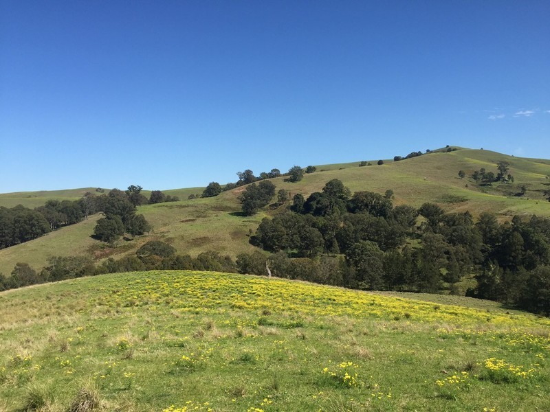 Marshalls Road, Singleton NSW 2330