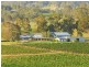 310 Oakey Creek Road, Pokolbin NSW 2320