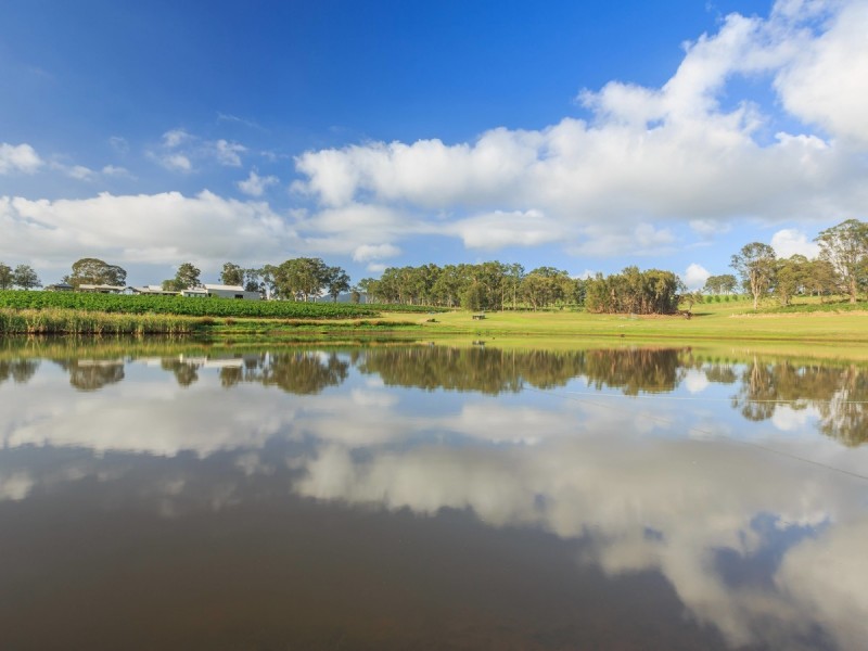 310 Oakey Creek Road, Pokolbin NSW 2320