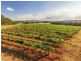310 Oakey Creek Road, Pokolbin NSW 2320