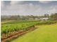 310 Oakey Creek Road, Pokolbin NSW 2320