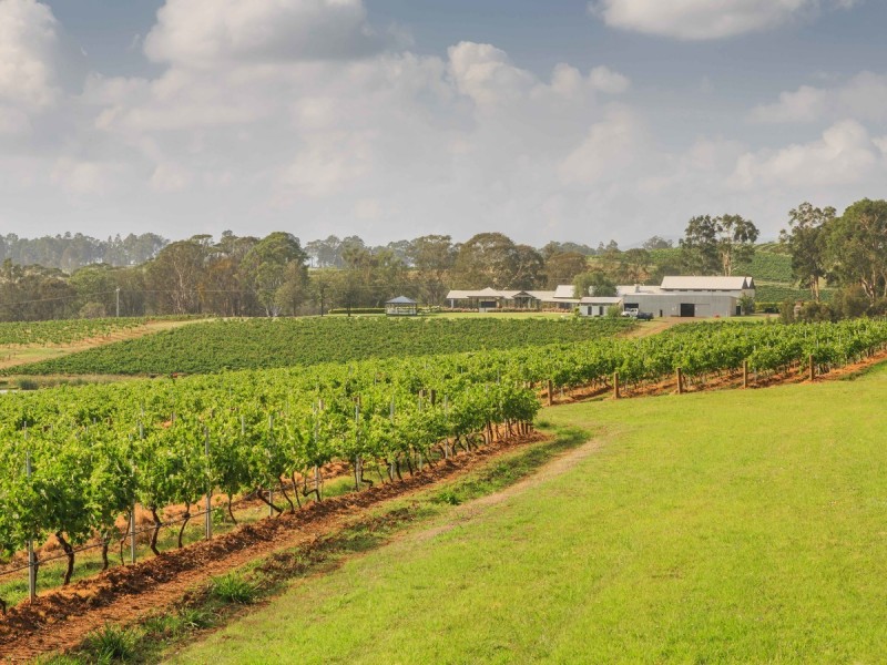 310 Oakey Creek Road, Pokolbin NSW 2320