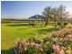 310 Oakey Creek Road, Pokolbin NSW 2320