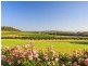 310 Oakey Creek Road, Pokolbin NSW 2320