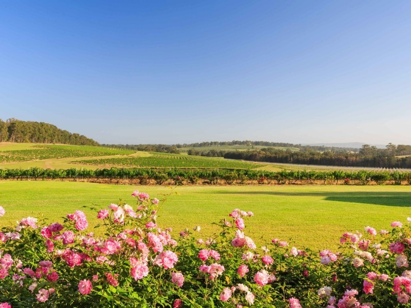 310 Oakey Creek Road, Pokolbin NSW 2320