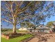 310 Oakey Creek Road, Pokolbin NSW 2320