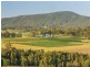 310 Oakey Creek Road, Pokolbin NSW 2320