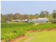 310 Oakey Creek Road, Pokolbin NSW 2320